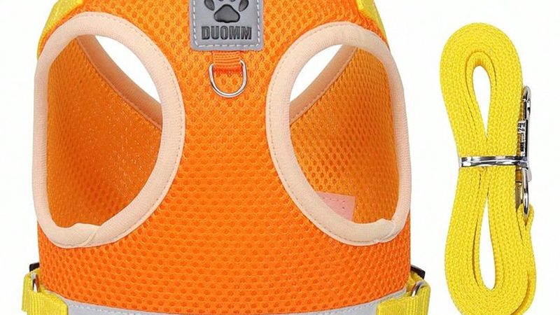 揭秘水冷式冷水机组：工作原理与选型要点